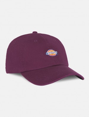 Boné Dickies Hardwick Baseball Masculino Roxo | 61000466