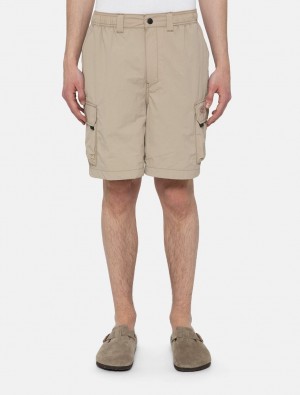 Calção Dickies Jackson Cargo Masculino Caqui | 307615650