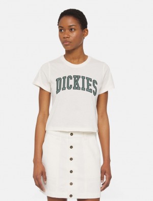 Camiseta Dickies Aitkin Short Sleeve Feminino Branco | 657840334