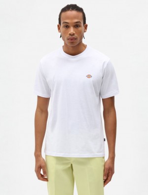 Camiseta Dickies Mapleton Short Sleeve Masculino Branco | 708428022