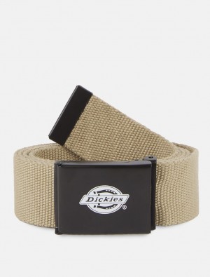 Cintos Dickies Orcutt Feminino Caqui | 384371176