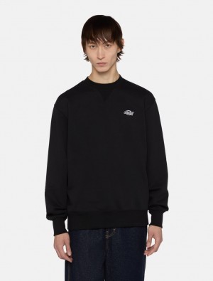 Moletons Dickies Summerdale Masculino Pretas | 515666162