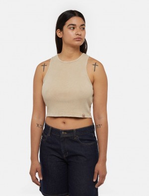 Regata Dickies Newington Knitted Feminino Bege | 578017012